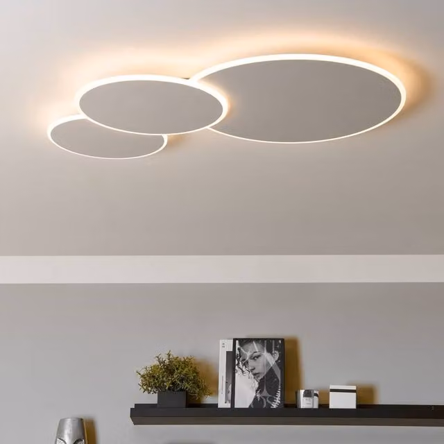 Wyld and Coco Round White LED Ceiling Lamp with Dimmable Aluminium and Plastic Shade – 1
