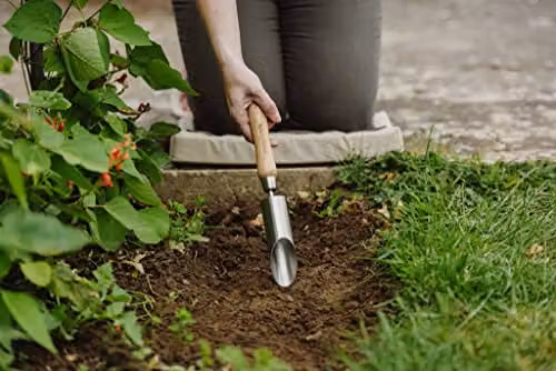 Kent & Stowe Small Angled Bulb Planter Tool in Silver Stainless Steel and Wood – 2