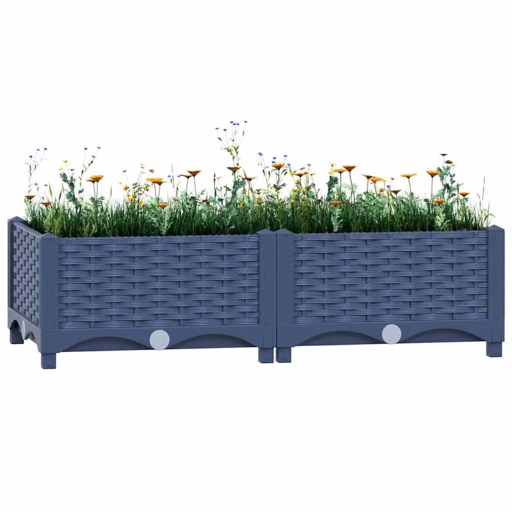 Berkfield Home Raised Bed in Grey Plastic, W/D/H: 80 x 40 x 23 cm – 2