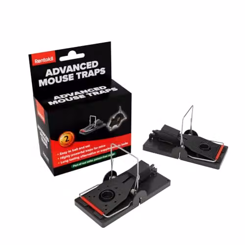 Rentokil RKLFM63 Advanced Mouse Trap, Pack of 2, Blue and Black – 1