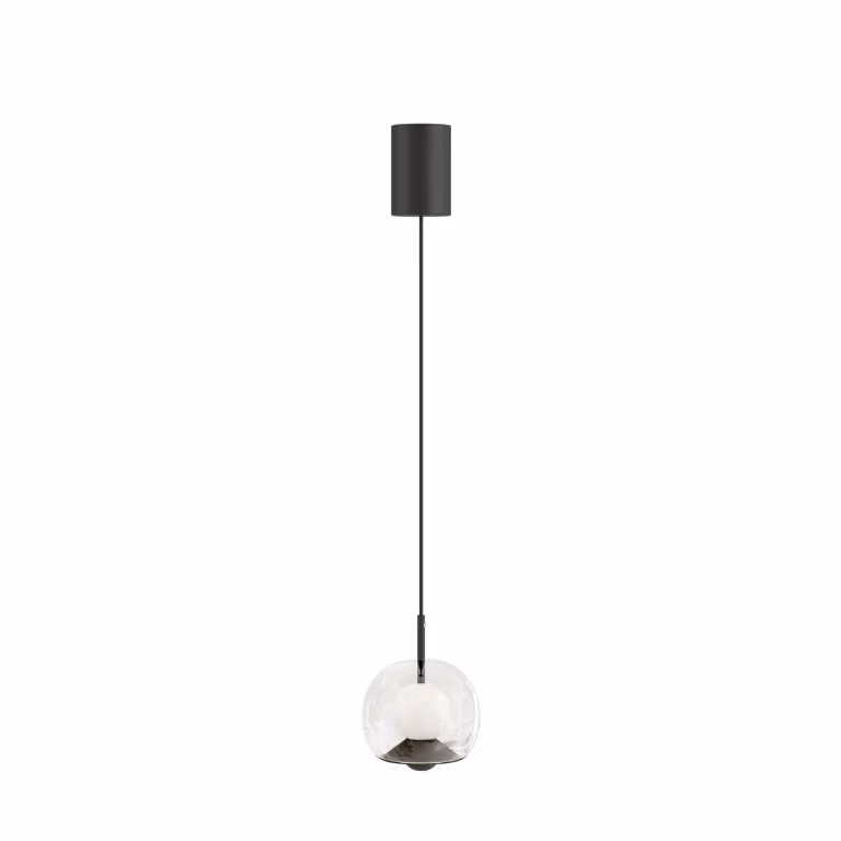 Dome Deco OTIS Transparent Glass and Black Metal Suspended Pendant Light