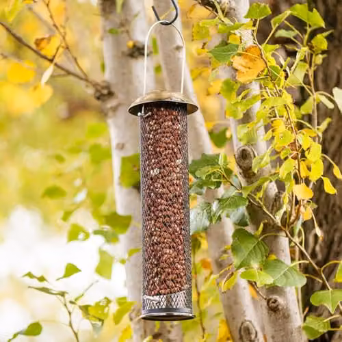 Happy Beaks Supreme Bird Feeder Collection, Set of 3 Antique Brass Metal Hanging Garden Feeders for Seed, Peanut and Mealworm – 2