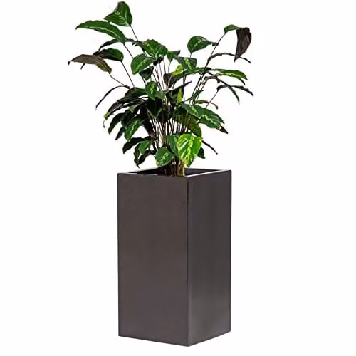 Primrose Metallic Grey Polystone Tall Cubic Outdoor Garden Planter Tub, W/D/H: 60 x 60 x 30 cm
