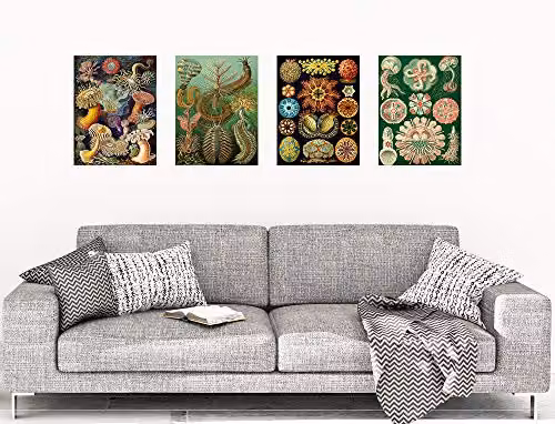 Artery8 Ernst Haeckel Kunstformen Der Natur Biology Art Print Poster Pack of 4, Multicolour – 3