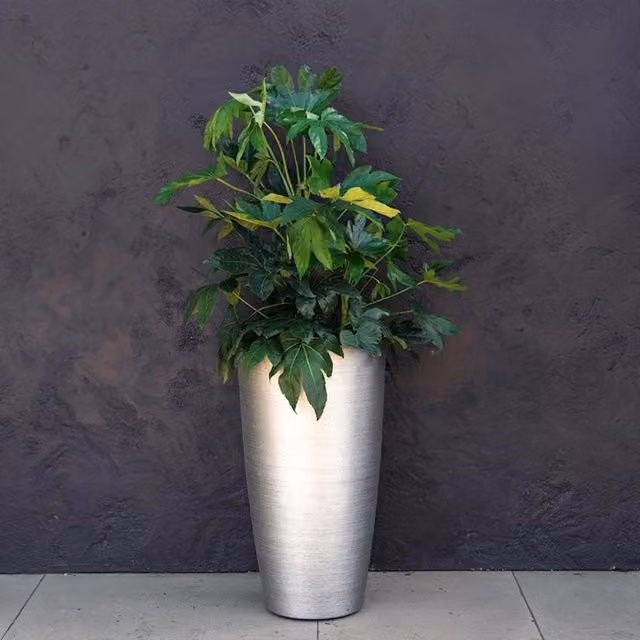 Primrose White Cement Round Planter in Silver, Height: 75.5 cm – 1