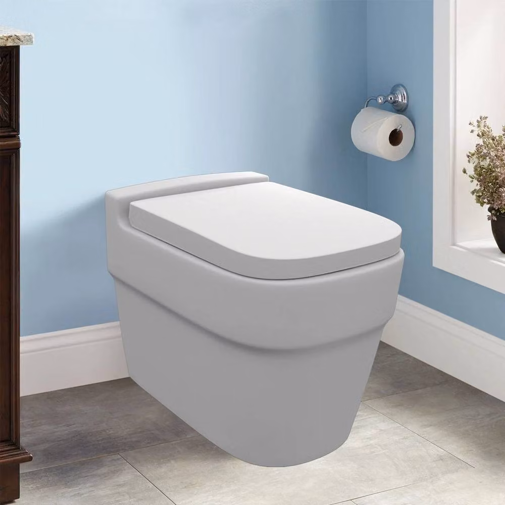 Kelvenix Luxury S Shape Soft Close Toilet Seat in White – 2