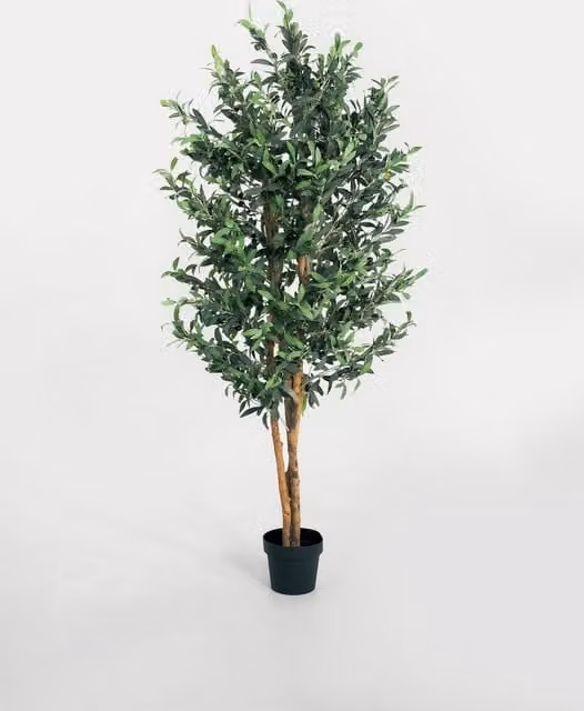 Blooming Artificial Green Mediterranean Olive Tree in Pot, Height: 182.88 cm