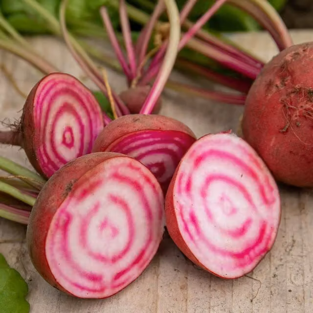 Unwins Chioggia Beetroot Seeds, Green