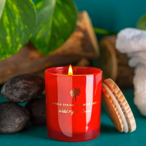 Nicola Spring Wild Fig & Cassis Scented Soy Wax Candles, Pack of 3, 130g per Candle, Red – 4
