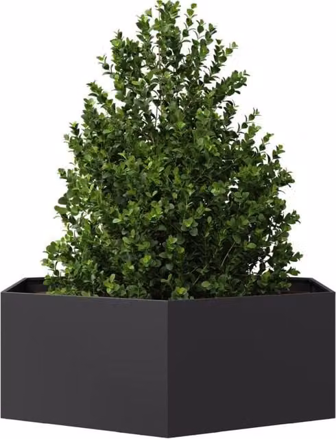 Berkfield Home Black Hexagon Steel Garden Planter W/D/H: 138 x 120 x 45 cm – 1