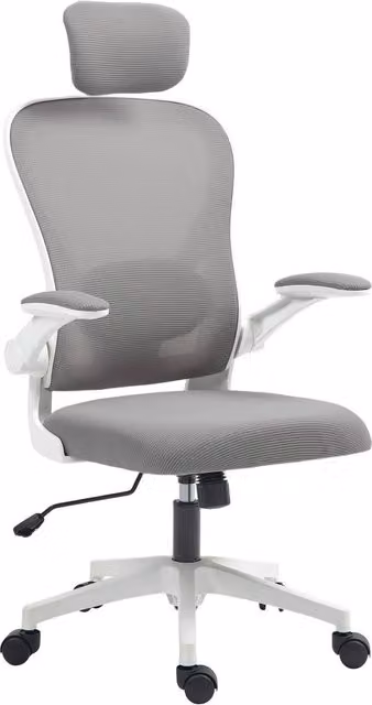 HOMCOM Ergonomic Mesh Office Chair with Headrest and Armrests in Grey – 1