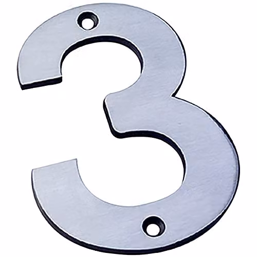 Loops 100mm Front Door Numeral 3 in Brushed Satin Stainless Steel Silver