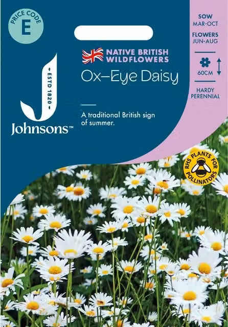 Johnsons Seeds Ox Eye Daisy Flower Seeds, White and Yellow