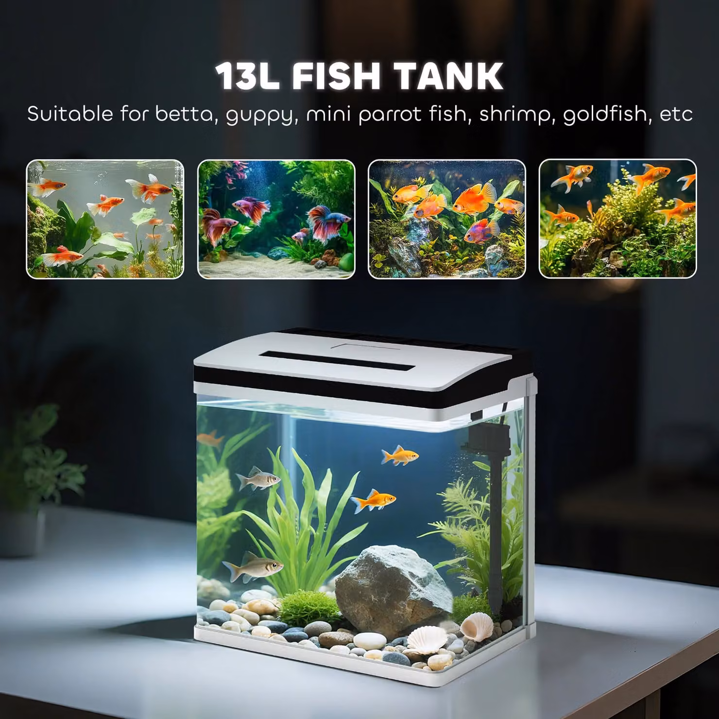 PAWHUT 13L Glass Fish Tank for Betta, Guppy, Shrimp and Mini Parrot Fish, White – 4