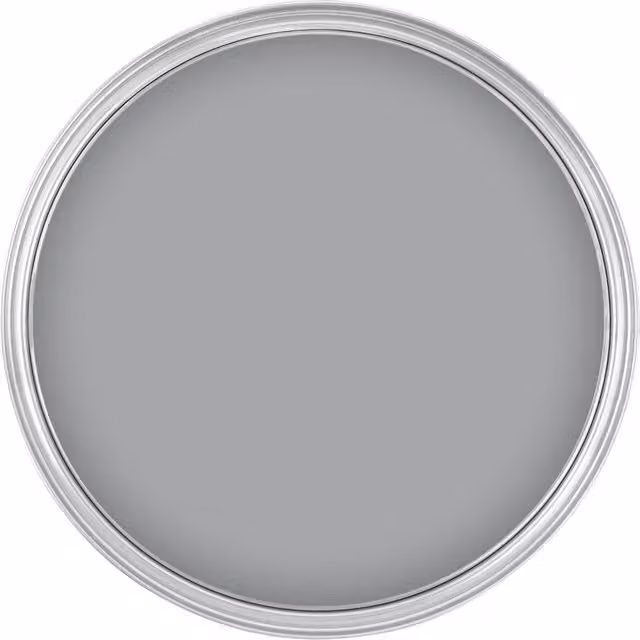 Johnstone's Metallic Paint in Silver