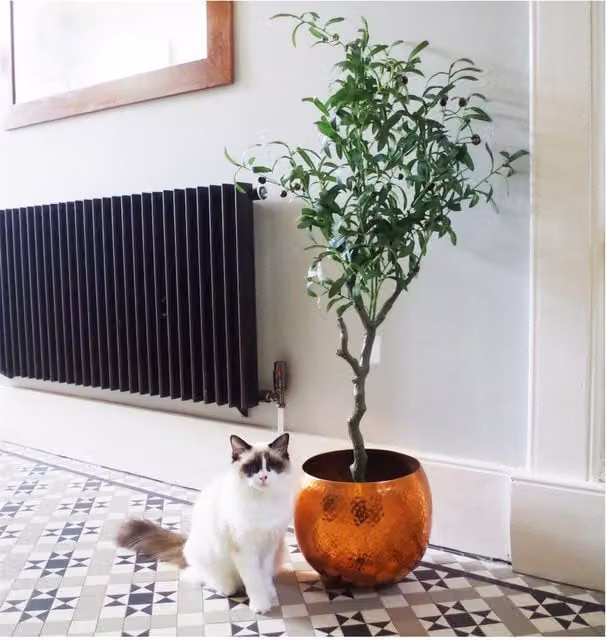 Dyzi 120 cm Artificial Mediterranean Olive Tree in Green