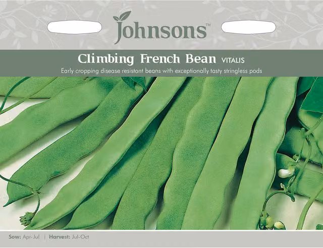 Johnsons Vitalis Climbing French Bean Vegetable Seeds, Green