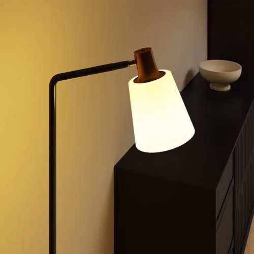 HOMCOM Modern LED Floor Lamp with Adjustable Head and CCT, Black – 5