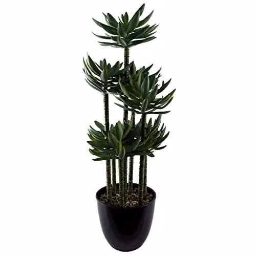 Leaf Design UK Artificial Tropical Yucca Plant in Black Planter, Green, Height: 60 cm – 1