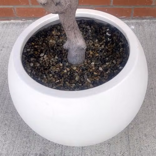 Leaf Design UK XL Artificial Green Tree in Decorative Planter, H 200 cm x W 130 cm x D 130 cm – 4