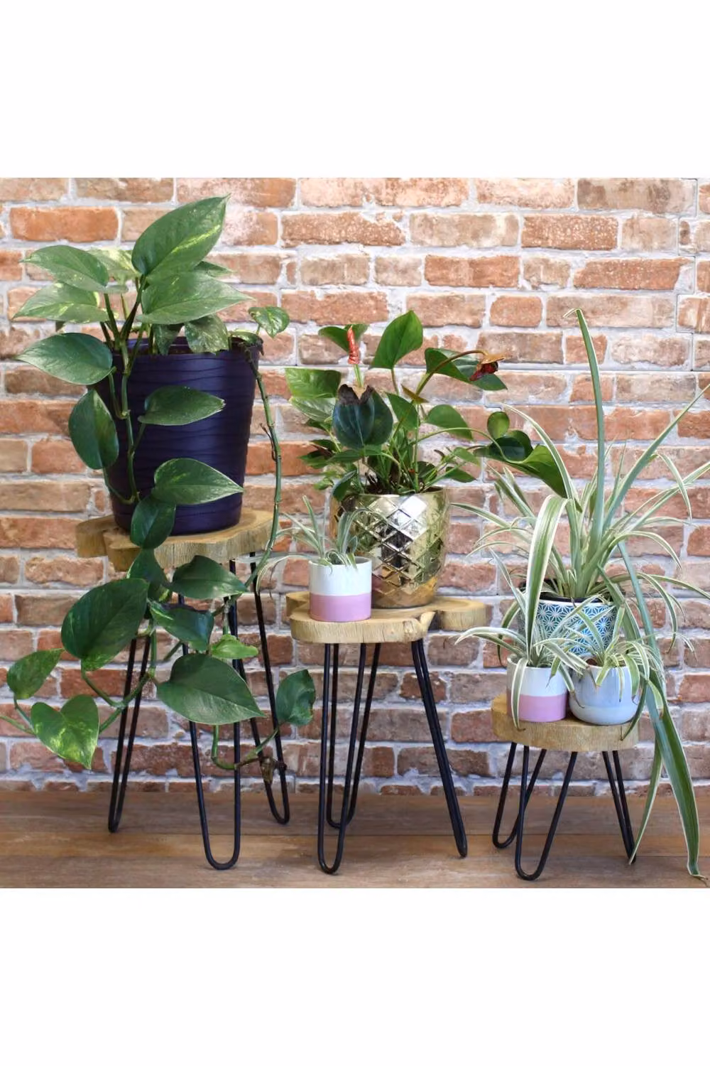 KDMD Set of 3 Industrial Wooden Plant Stands with Round Tops and Hairpin Legs in Brown, Black and Green – 2