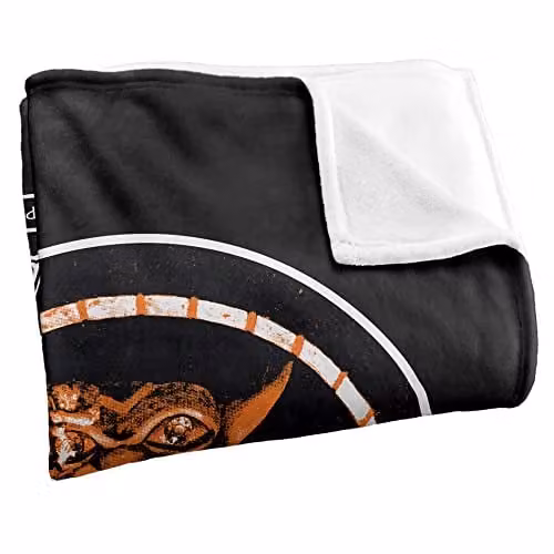 LOGOVISION Dungeons and Dragons First Edition Player's Handbook Throw Blanket, Multicolour, W/D/H: 152 x 127 cm – 2