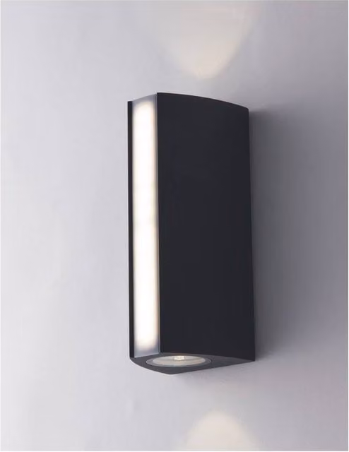 Netlighting Ray Outdoor LED Aluminum Up Down Wall Lamp, Black, IP54, 4000K