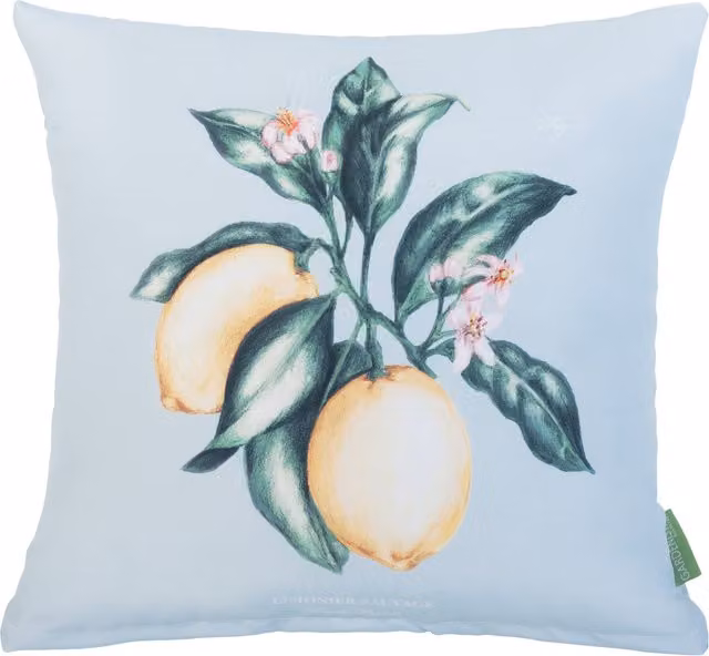 Gardenista Lemon Blue Floral Printed Outdoor Scatter Cushion in Yellow, Blue and Beige