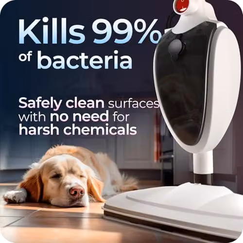 Avalla T-5 2-in-1 Steam Mop and Portable Handheld Steam Cleaner in White with 7 Accessories for Chemical-Free Cleaning of Floors, Grout, Carpets and Upholstery – 2