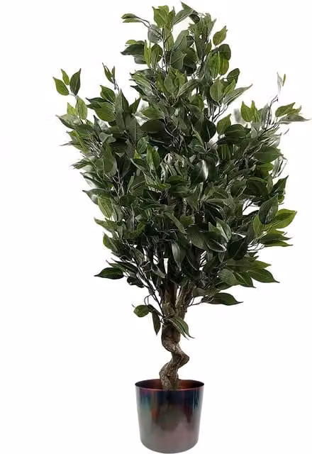 Artificial Evergreen Twist Ficus Tabletop Tree in Green and Multicolour, Height: 61 cm