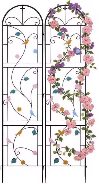 Hinsinc 2-Piece Metal Garden Trellis with Multicolour Bird and Floral Design in Black, W/H: 48 x 214 cm