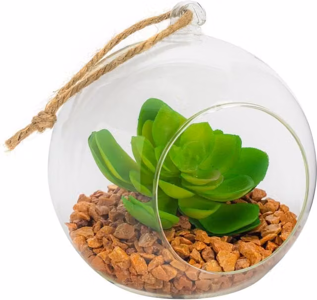 Nicola Spring Round Hanging Glass Terrarium in Transparent Yellow
