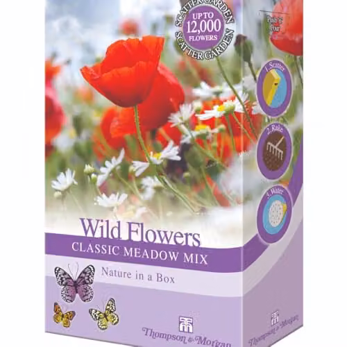 Thompson & Morgan Wild Flower Classic Meadow Mix Multicolour Annual and Perennial Seeds, 20g – 2