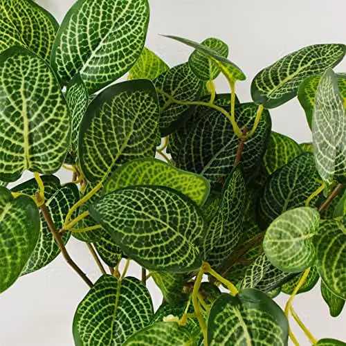 Botanik Potted Artificial Variegated Pothos Plant in Green and Black, Height: 40 cm – 2