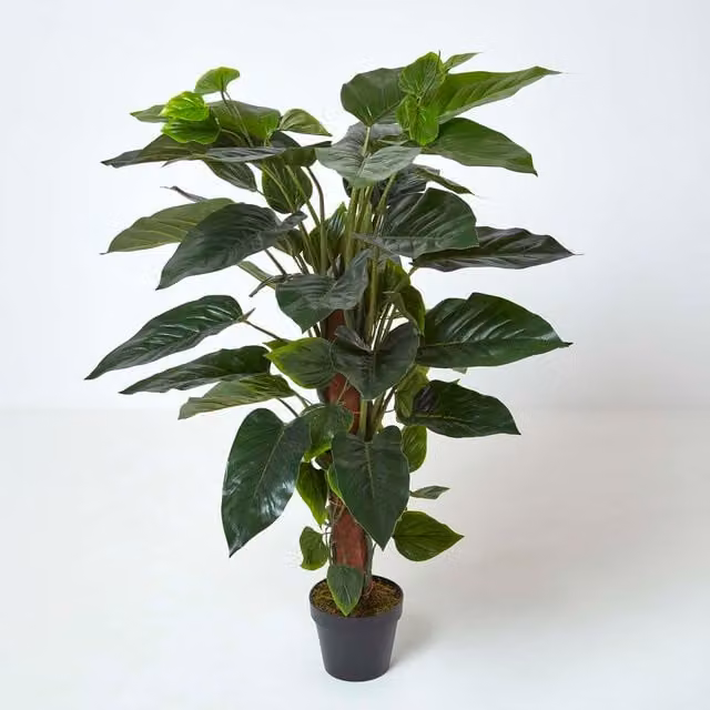Homescapes Artificial Philodendron Tree in Green and Black, Height: 120 cm