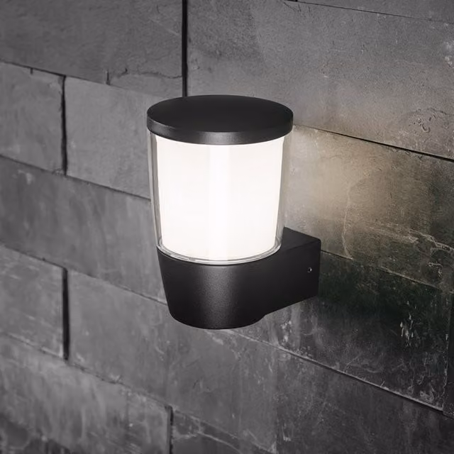 CGC TORO Black Outdoor Wall Light with Aluminium and Glass Housing, IP54 Rated