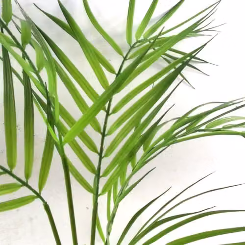 Botanik Realistic Potted Artificial Palm Tropical Tree in Green and Black – 3