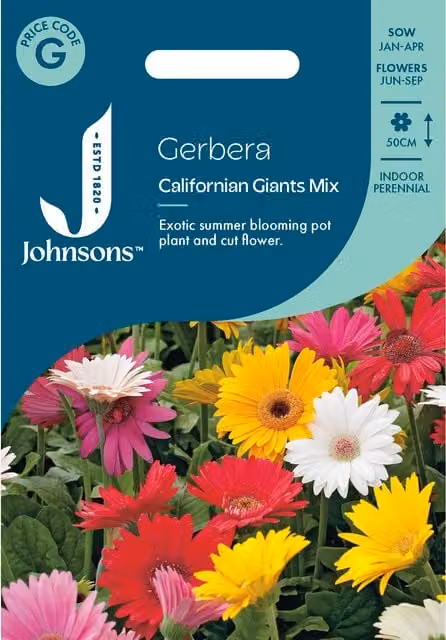 Johnsons Seeds Gerbera Californian Giants Mix Multicolour Flower Seeds