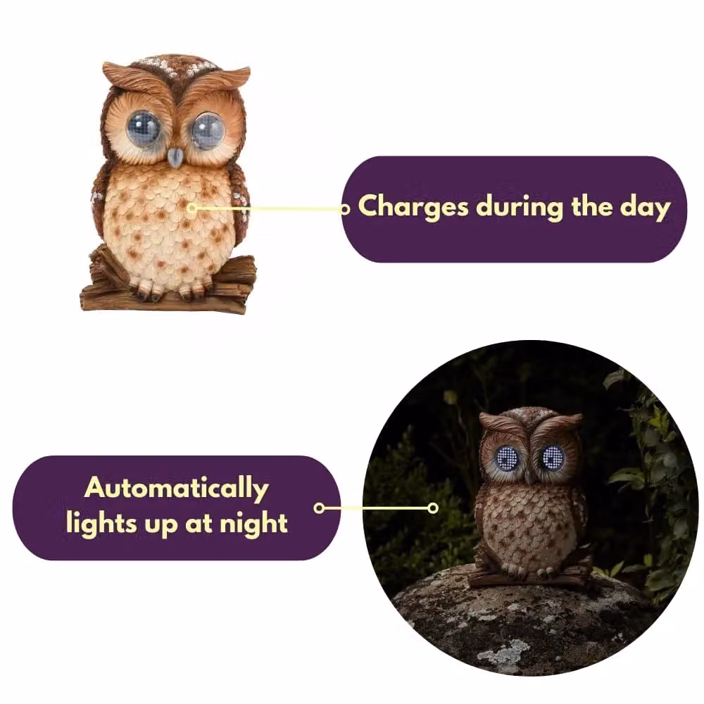 Marco Paul Solar Powered Blinking Owl Garden Ornament, Brown, Height: 25 cm – 5