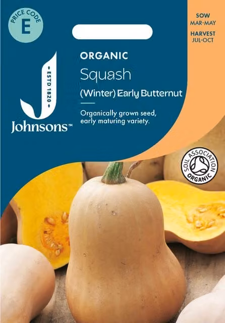 Johnsons Seeds Organic Winter Early Butternut Squash Vegetable Seeds, Orange