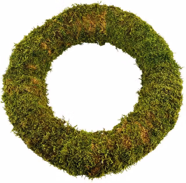 Plants by Post Classic Round Moss Christmas Wreath, Green, Diameter: 40 cm