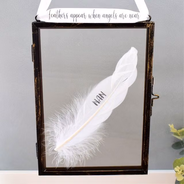 Amaya Rose Ltd In Memory of Nan Real Feather Floating Picture Frame, Black and Gold, Single Rectangular Wall Frame