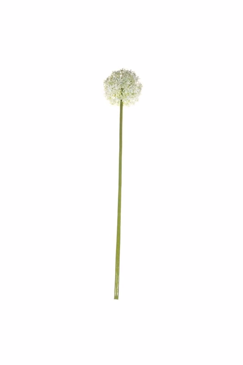KDMD Single Allium Artificial Flower in Cream and White, Height: 76 cm – 3