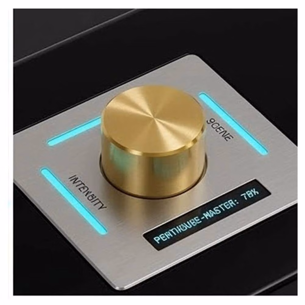 Hinsinc Polished Brass Dimmer Switch Knobs, 5-Pack in Gold – 3