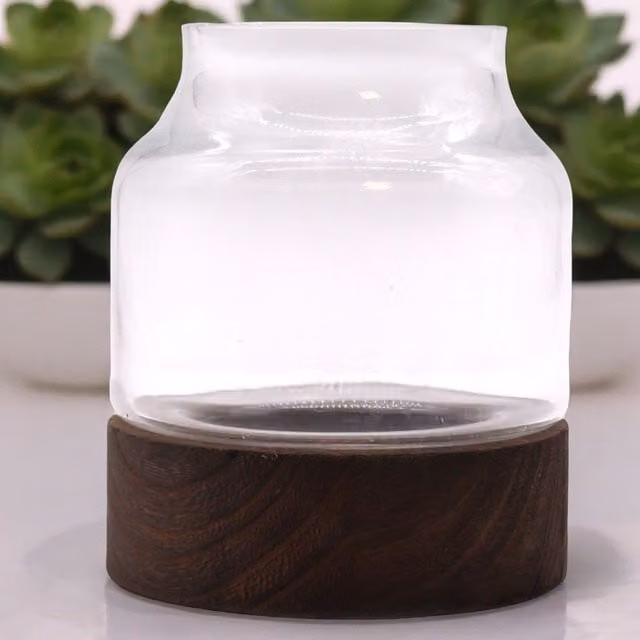 KDMD Medium Shaped Glass Terrarium on Dark Tung Wood in Brown