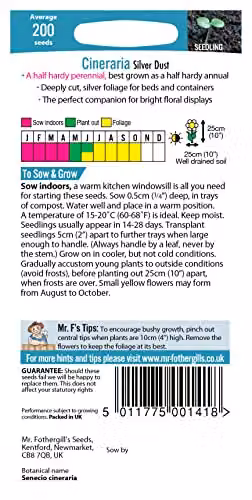 Mr Fothergill's Cineraria Silver Dust Ornamental Flower Seeds – 2