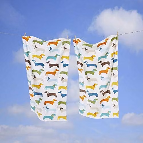 Rapport Home Multicolour Dog Graphic Cotton Beach Towel, W: 70 cm, H: 120 cm
