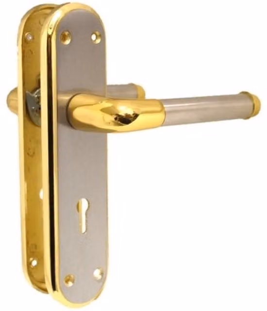Betley Butterfly Lock Lever Door Handle in Silver and Gold