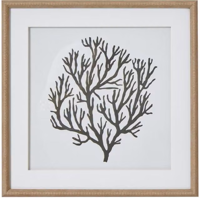Hill Interiors Atol Coral Framed Art Print in Multicolour and Dark Brown