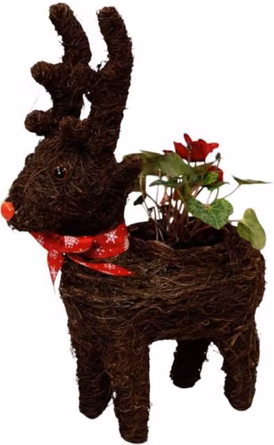Four Candle Brown Rattan Reindeer Christmas Planter with Red Scarf, Height: 36 cm – 1